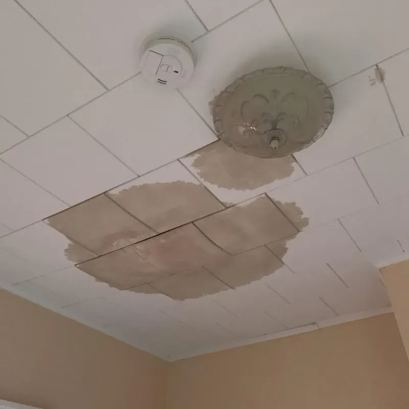 Ceiling Water Damage Repair in Mansfield Center, MA