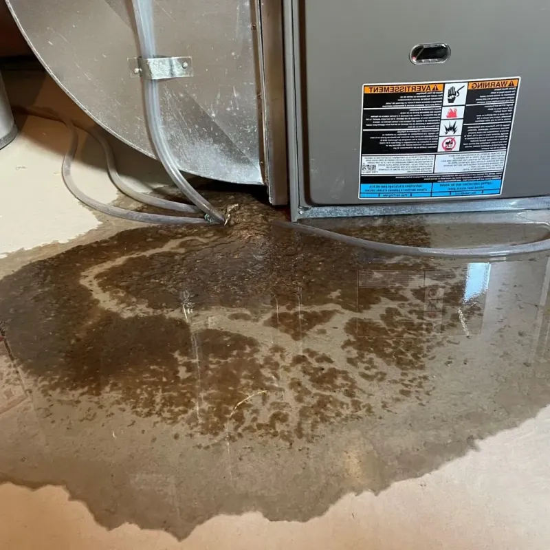 Pipe Burst and Leak Restoration in Mansfield Center, MA
