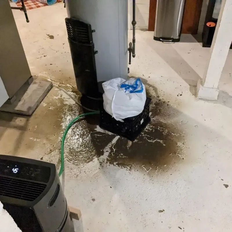 Sewage Backup Cleanup Service in Mansfield Center, MA